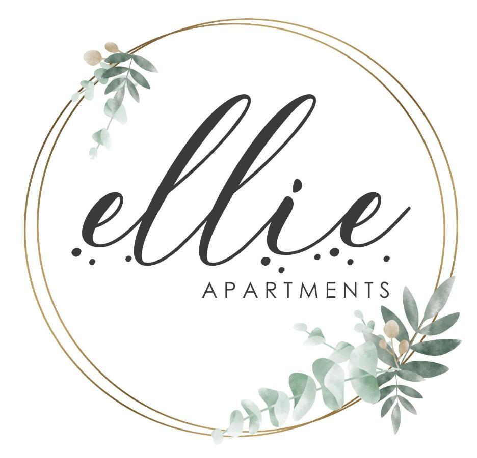 Apartment Mountain View