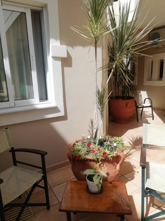 Economy Studio with shared Terrace - Ground Floor