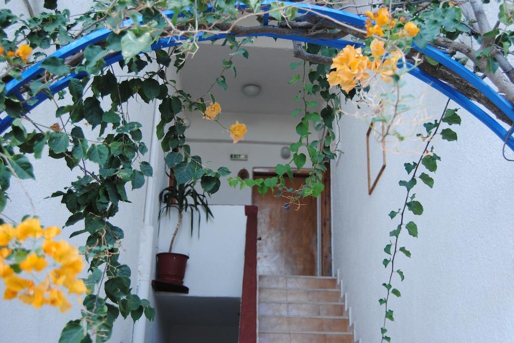 One-Bedroom Apartment,152336296:JPEG