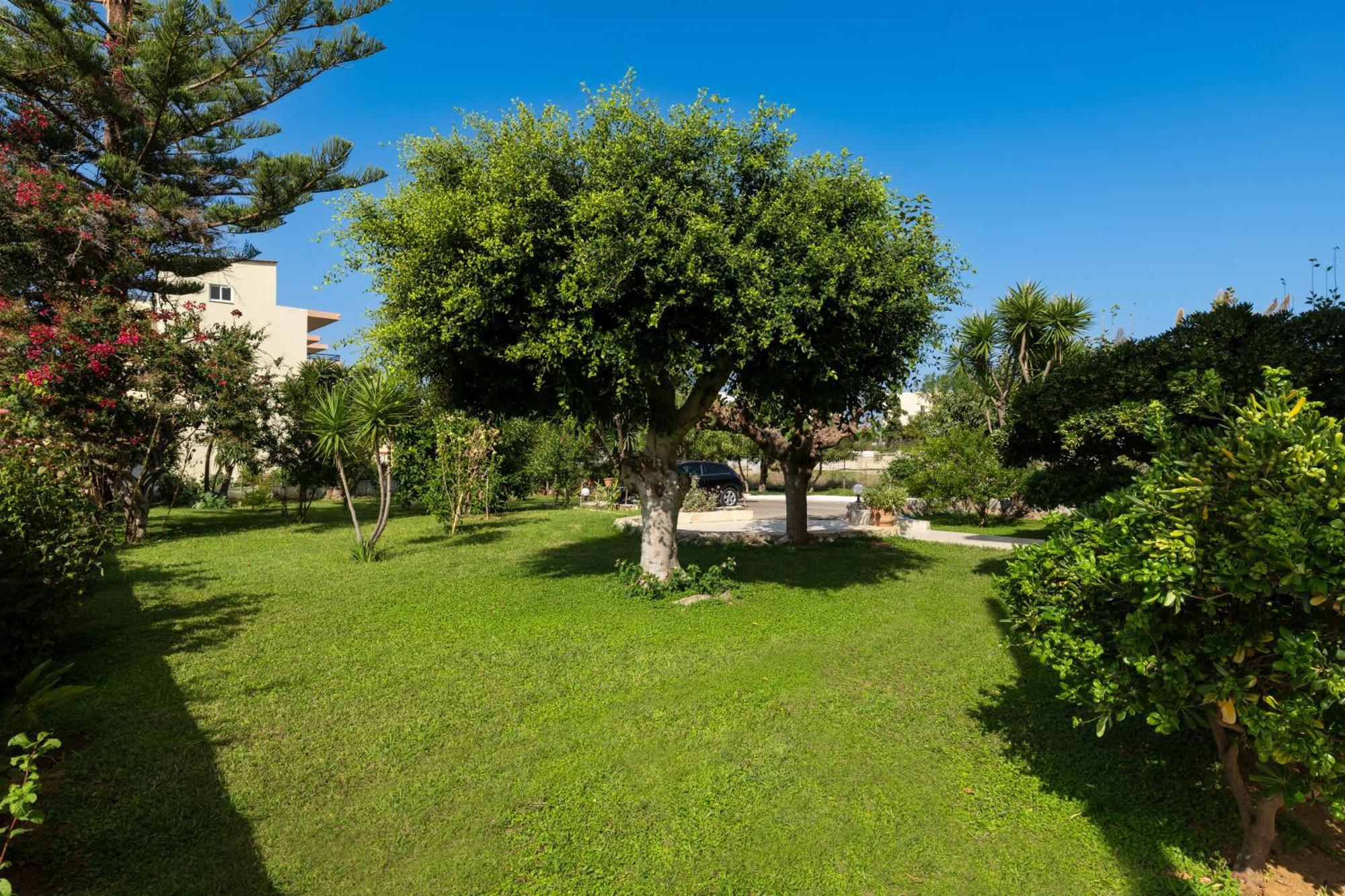 Apartment Garden View