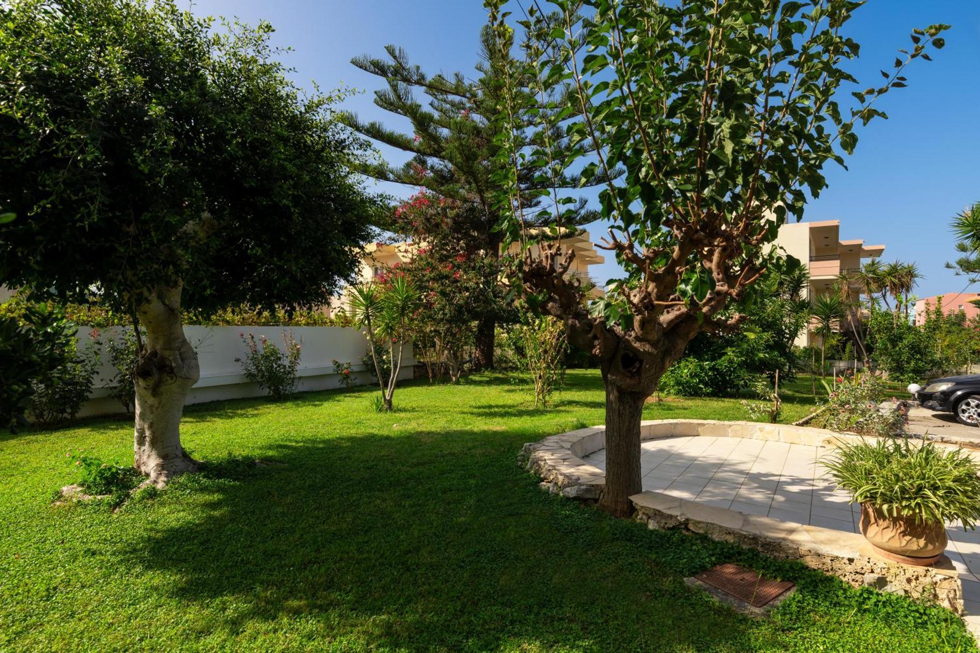 Apartment Garden View