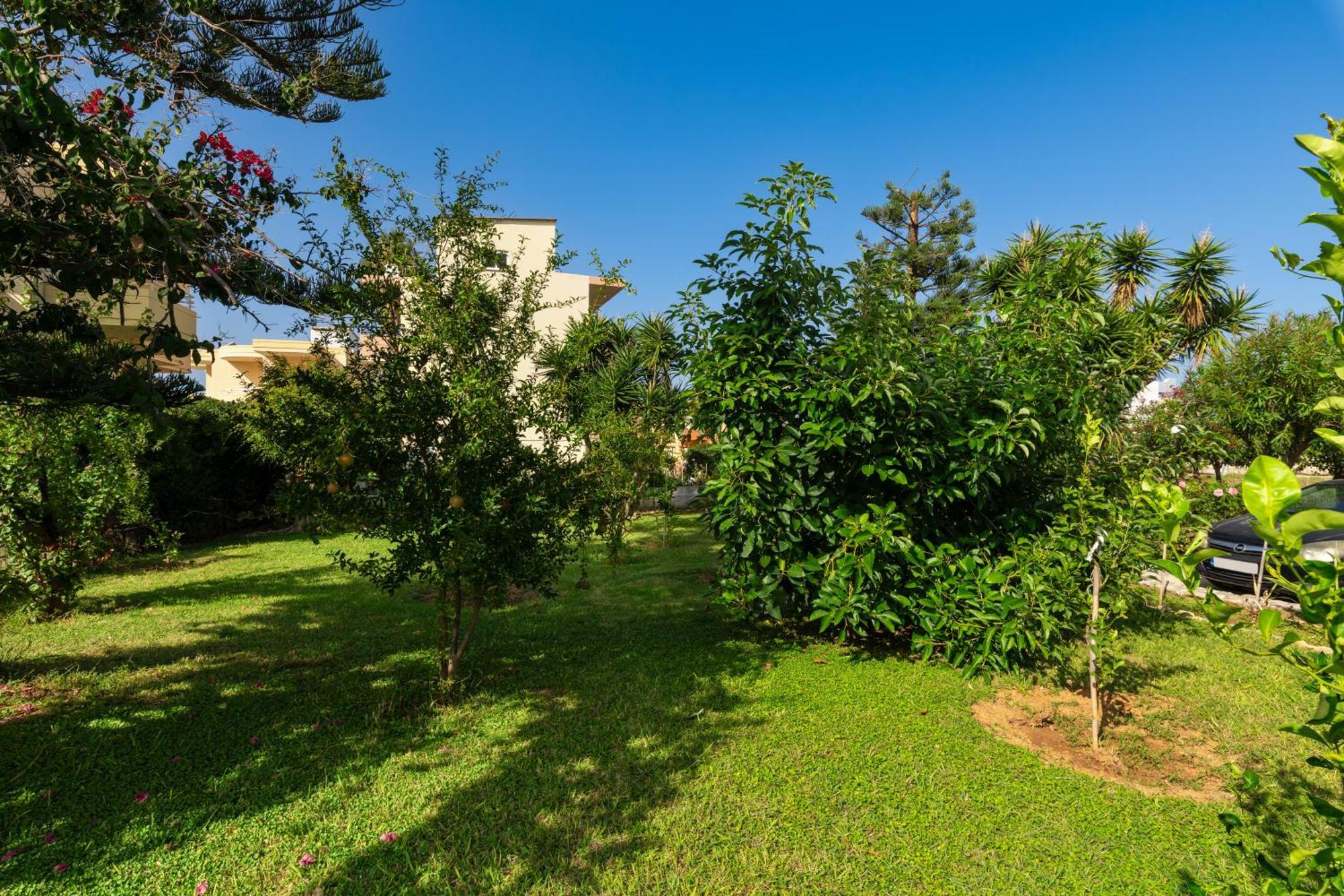 Apartment Garden View