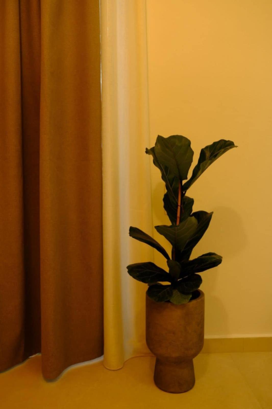 Deluxe One-Bedroom Apartment Garden View