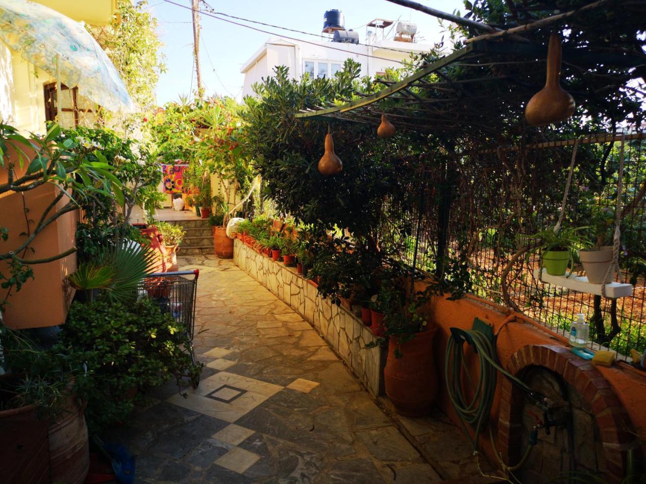 Studio Garden View