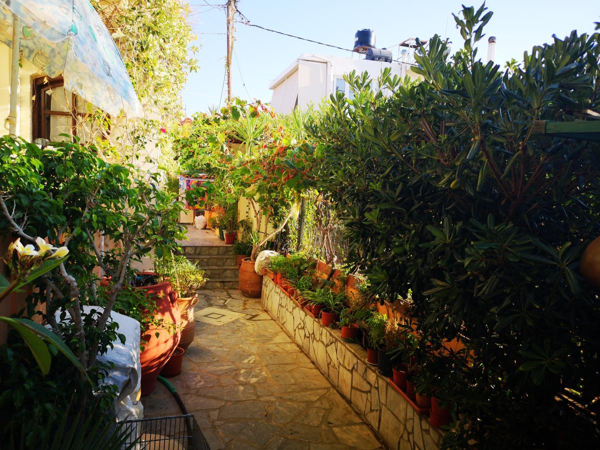 Studio Garden View