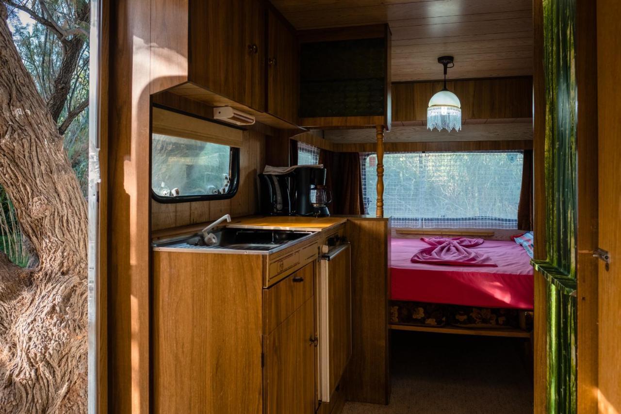 Caravan Medium