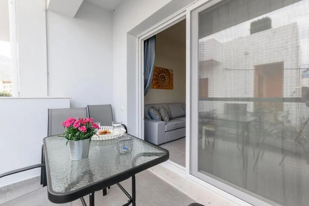 Seashell Apt 1-1