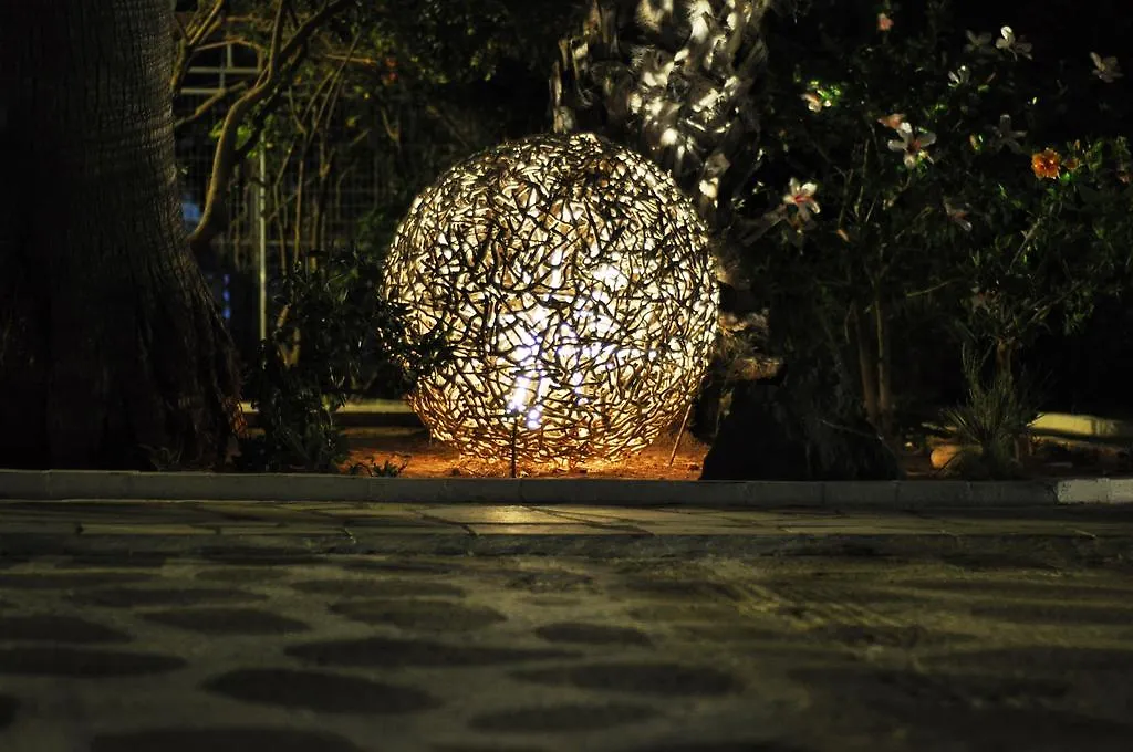 Avra Palm-1