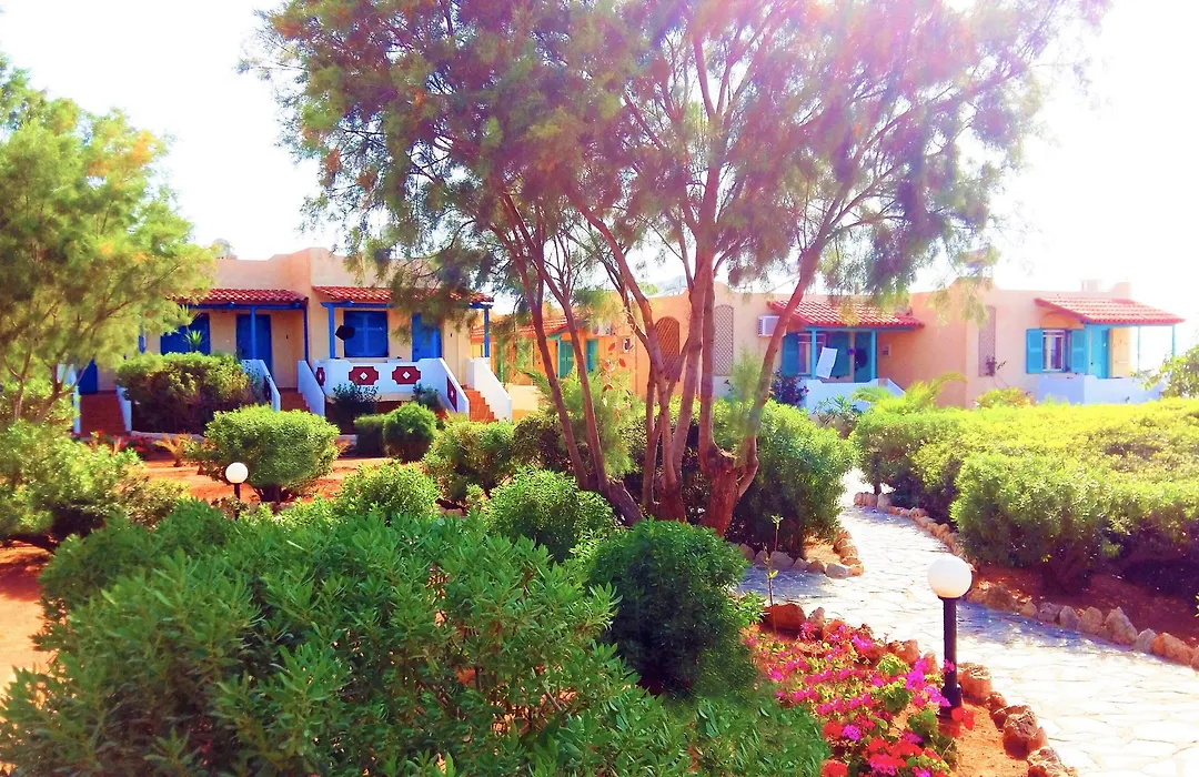 Zorbas Beach Village Hotel-1