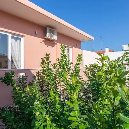 Lemon Tree Apartment-3