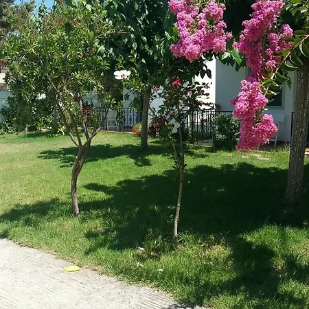 Ampeli Apartments-3