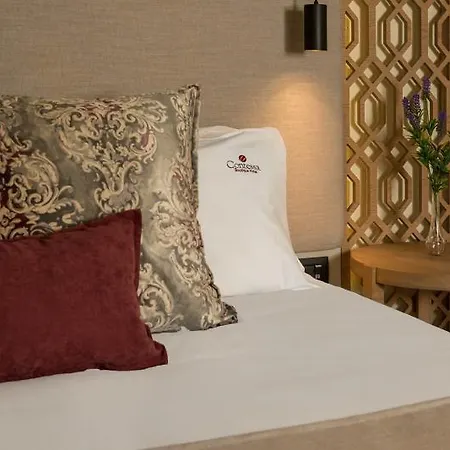 Contesa Boutique Hotel-3