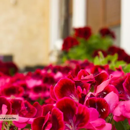 Esthisis Suites Chania-3