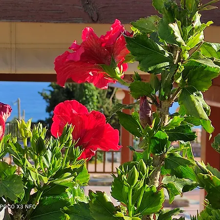 Magia Village Resort-2