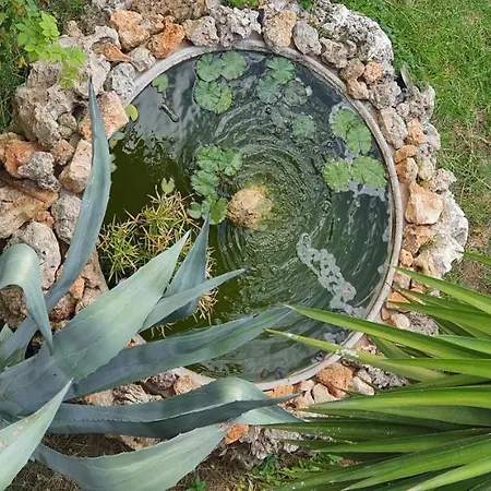Irini Studios-3