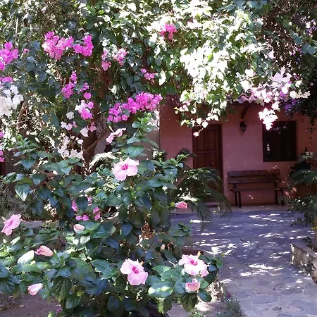 Olive Tree Cottages-2