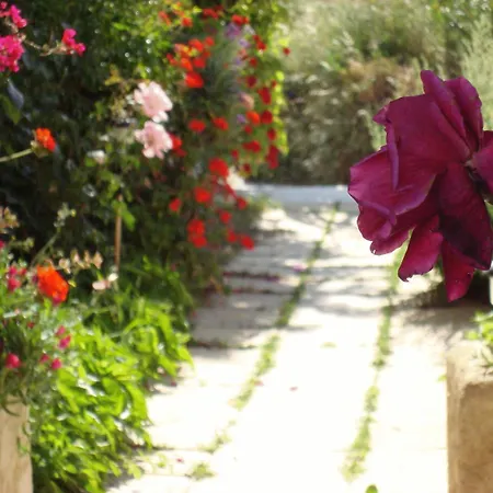 Creta Sun Hotel Studios-3