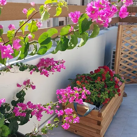 Elegant Apartment In The Heart Of Heraklion-3