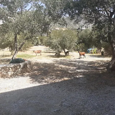 Kampos Rooms-2
