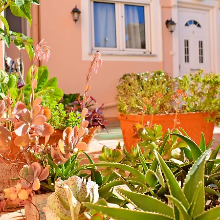 Melina'S House-2