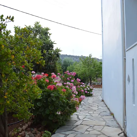 Nikos Apartments-3