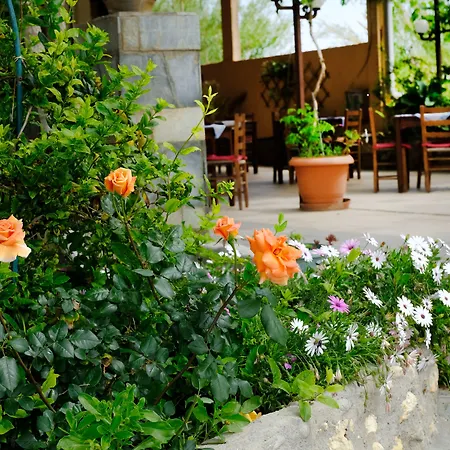 Athina-3