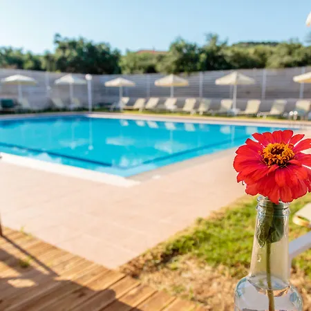 Dimitra & Evdokia Hotel-2
