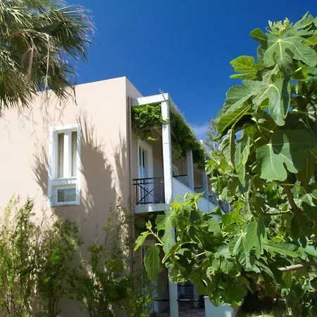 Hotel Peli-2