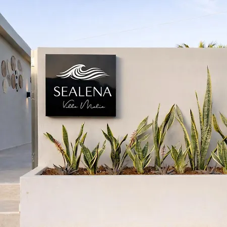 Sealena Villa Malia With Private Swimming Pool-2