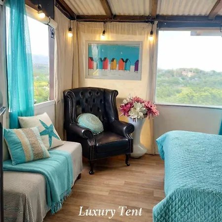 Dream Tiny House & Luxury Tent-2