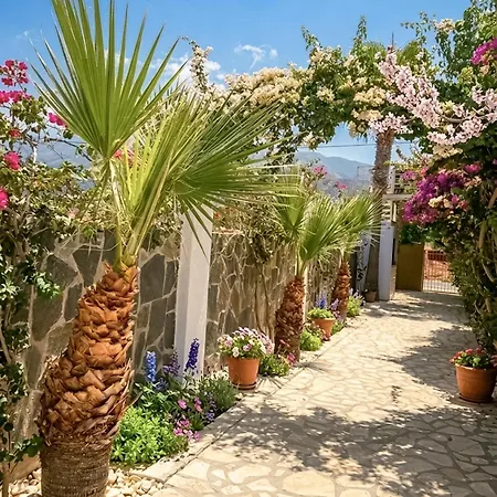 Babalogo Villa Mit Pool Nahe Malia Beach Kreta-2