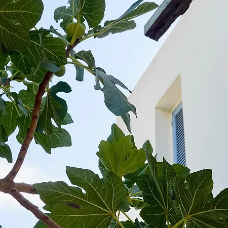 Aeolos Apartments-2