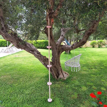 Kassiani Studios Olive Groove Hotel-3