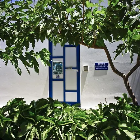Anthea Apartments-3