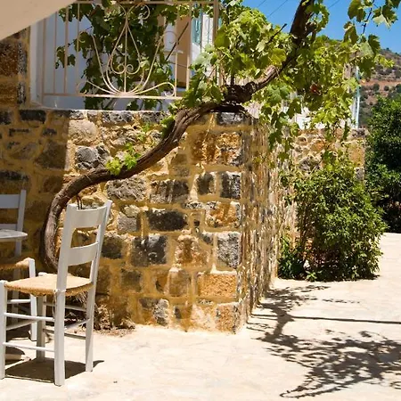 Creta Star-3