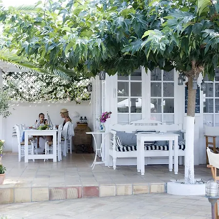 Villa Ippocampi - Adults Only-3