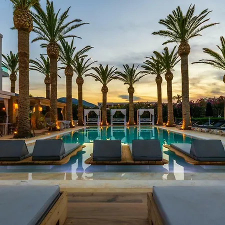 Drossia Palms Hotel And Nisos Beach Suites-2