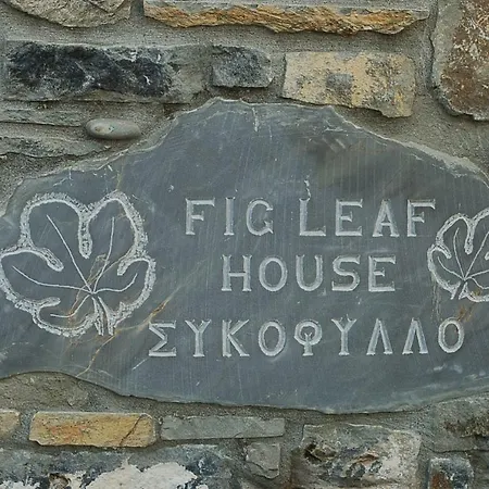 Fig Leaf House-3