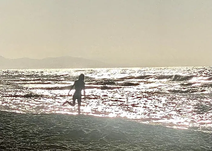 Mikes On The Beach Hersónissos acceptant les animaux