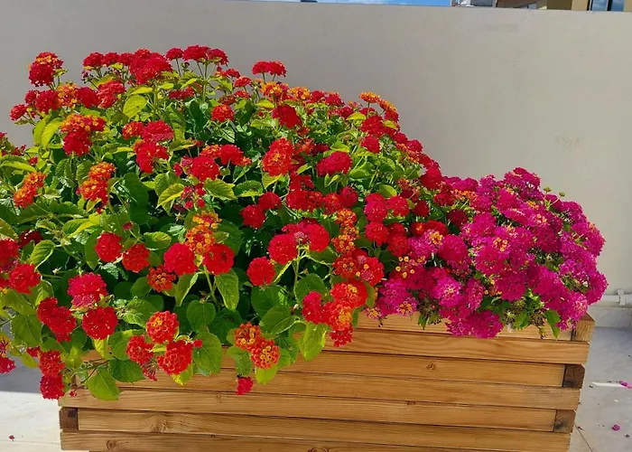 The Blue Apartment In The Heart Of Heraklion