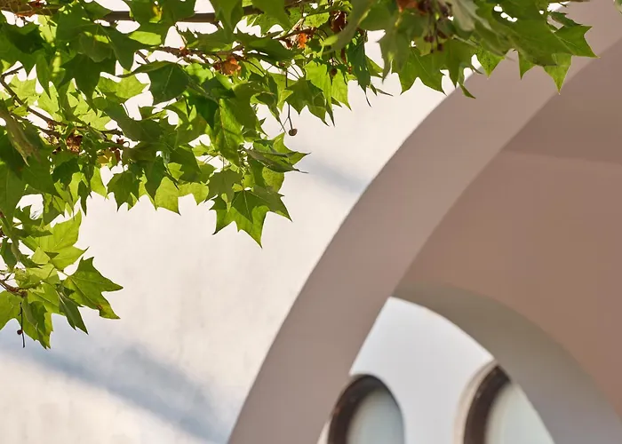 Boutique Atlantica Akti Zeus Hotel Amoudara Lasithiou