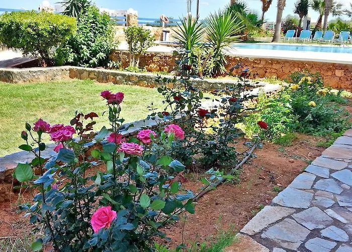 Cretan Family Apartments Malia 